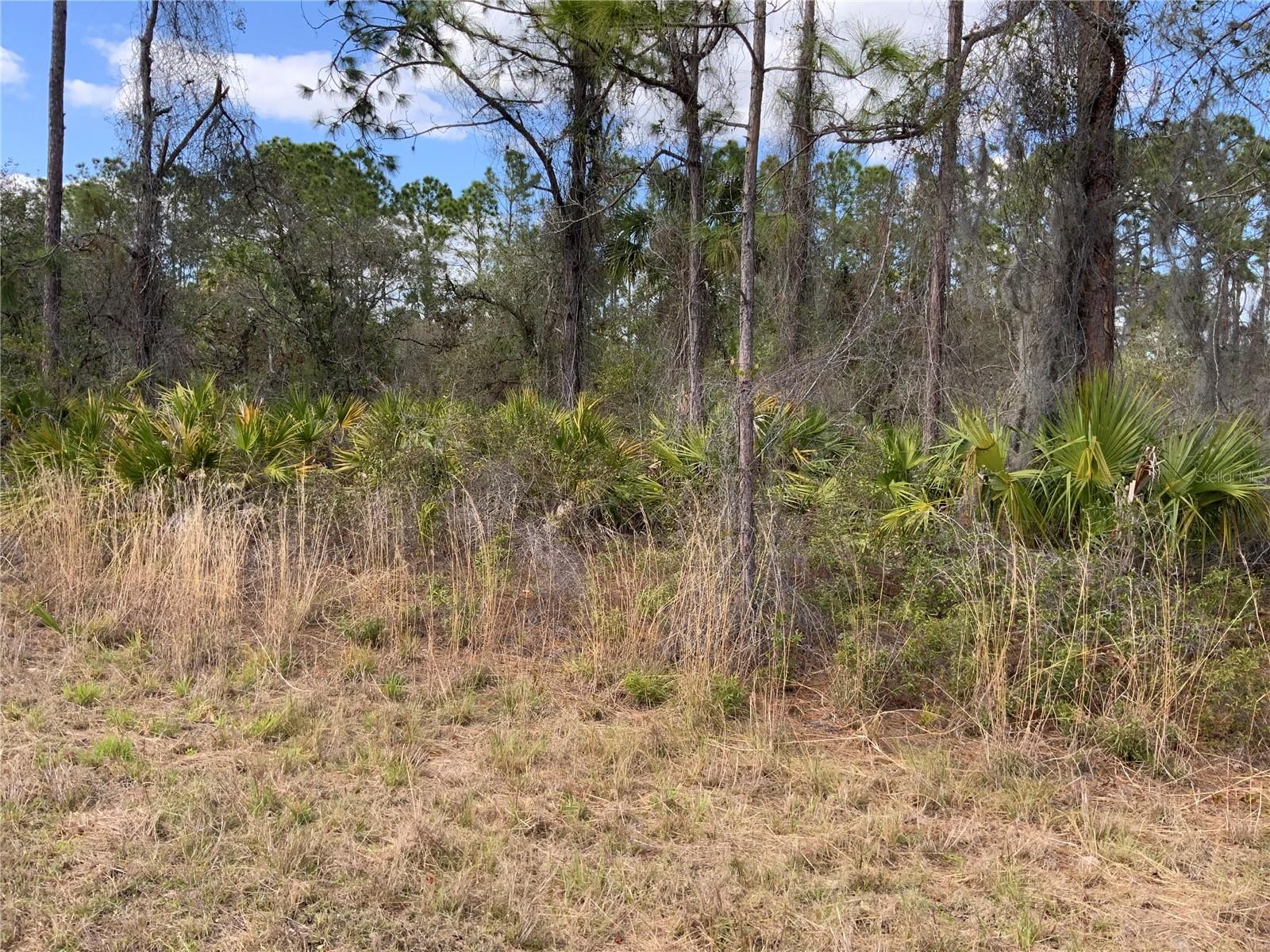 4219 E 30TH ST, ALVA, FL — photo 7