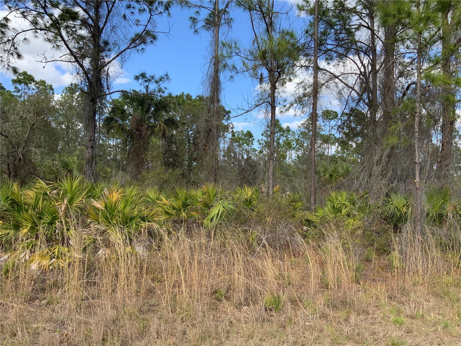 4219 E 30TH ST, ALVA, FL — photo 8