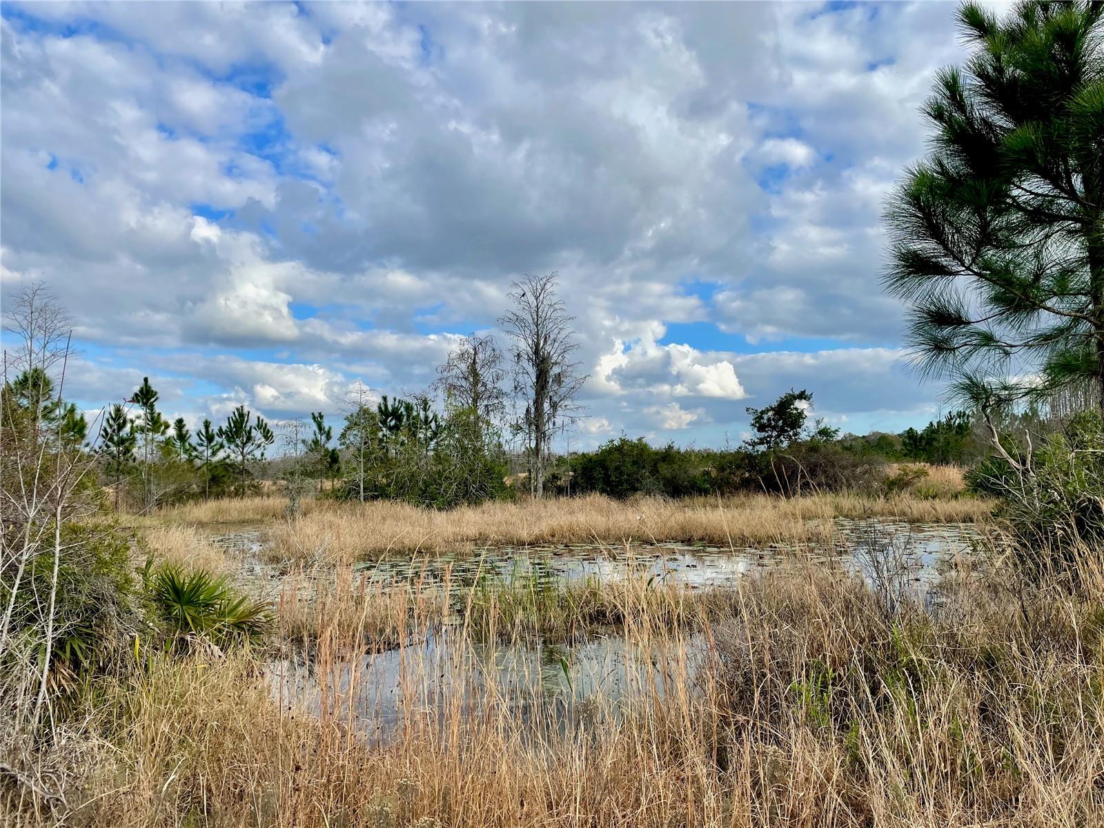 19858 STATE ROAD 52, LAND O LAKES, FL — photo 11