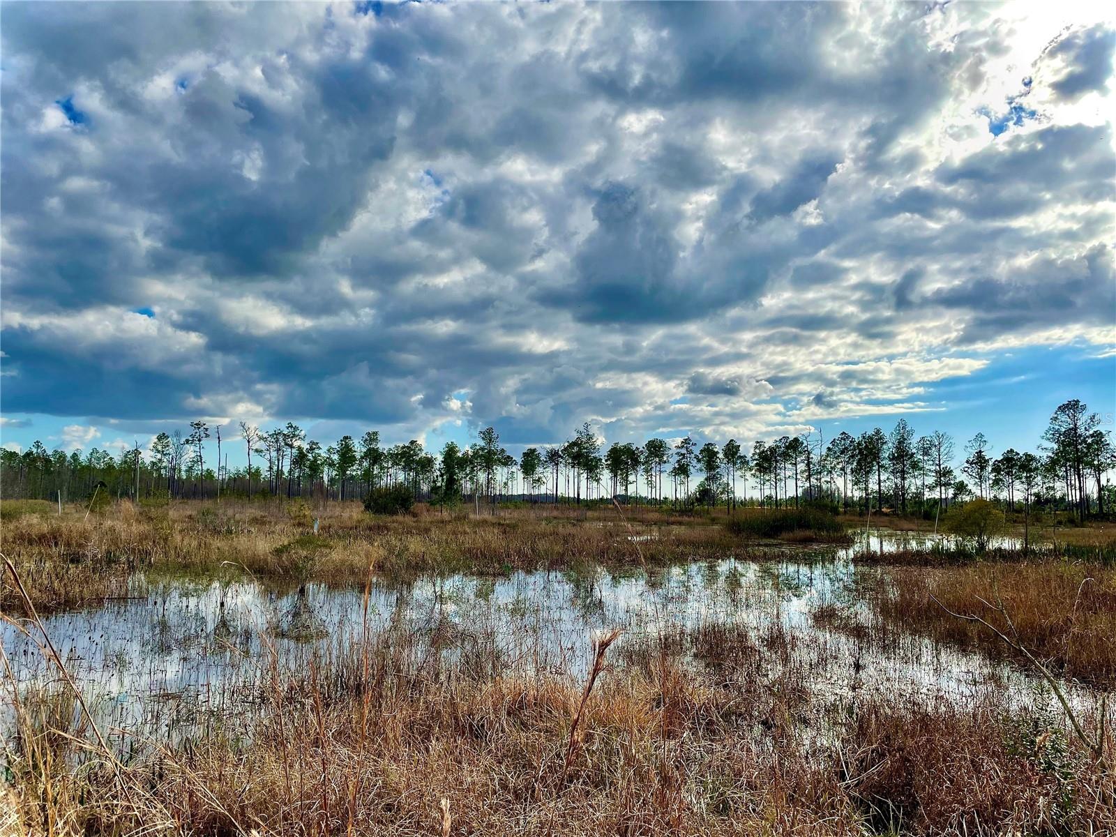 19858 STATE ROAD 52, LAND O LAKES, FL — photo 3