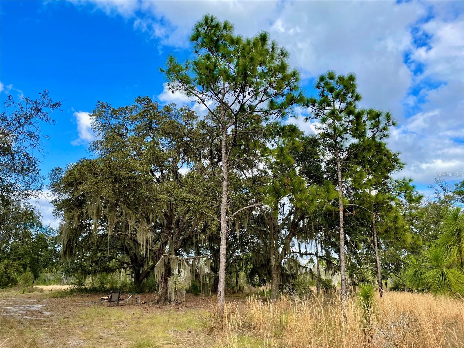 19858 STATE ROAD 52, LAND O LAKES, FL — photo 5