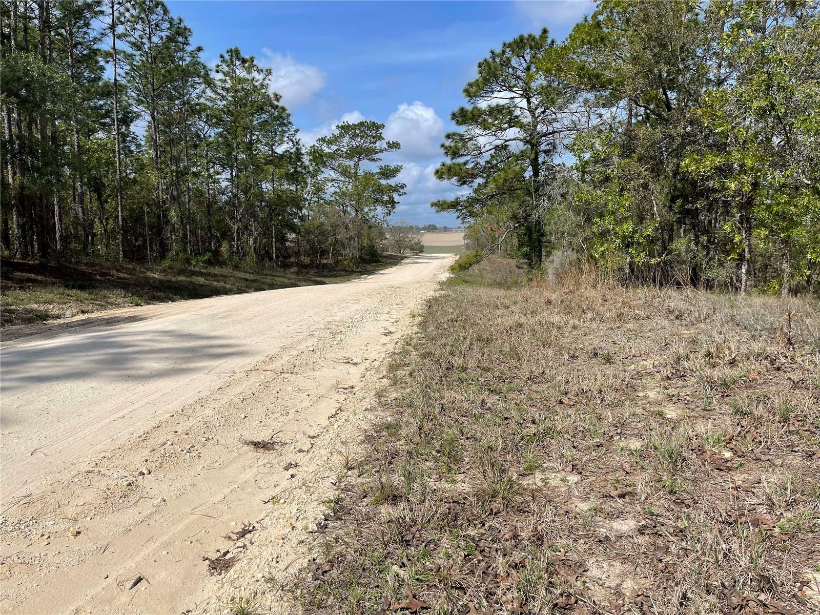 Lot 6 SE 2 ST, WILLISTON, FL — photo 5