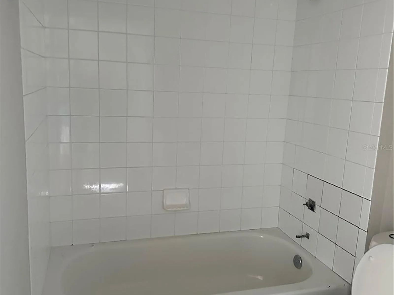 7706 N RIVERDALE AVE, TAMPA, FL — photo 3