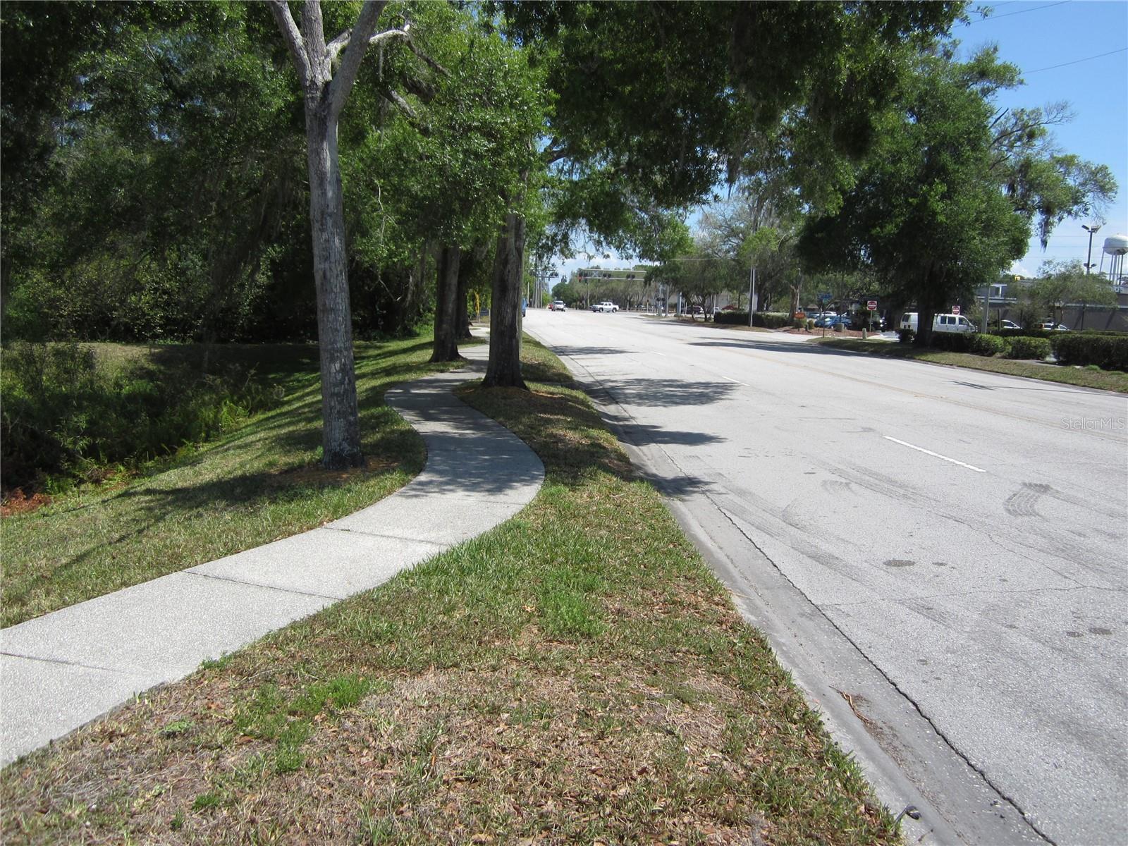209 CRYSTAL GROVE BLVD, LUTZ, FL — photo 5