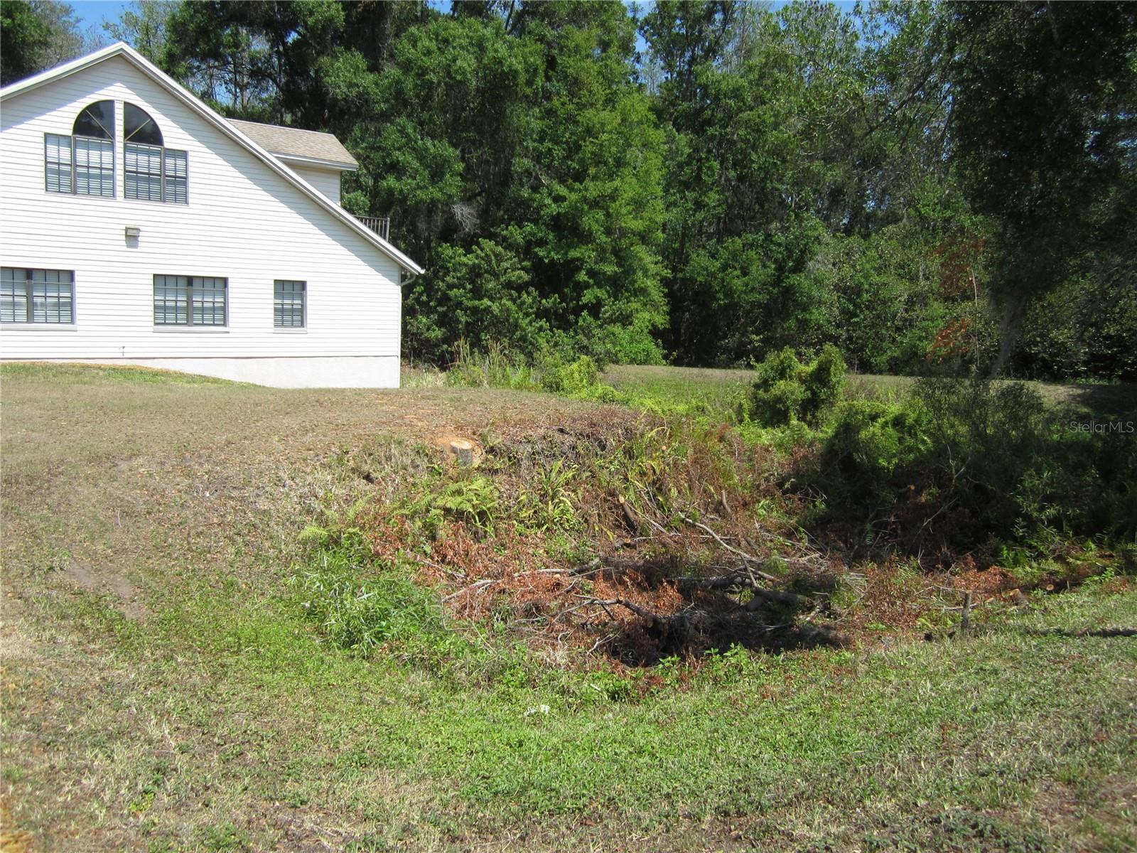 209 CRYSTAL GROVE BLVD, LUTZ, FL — photo 3