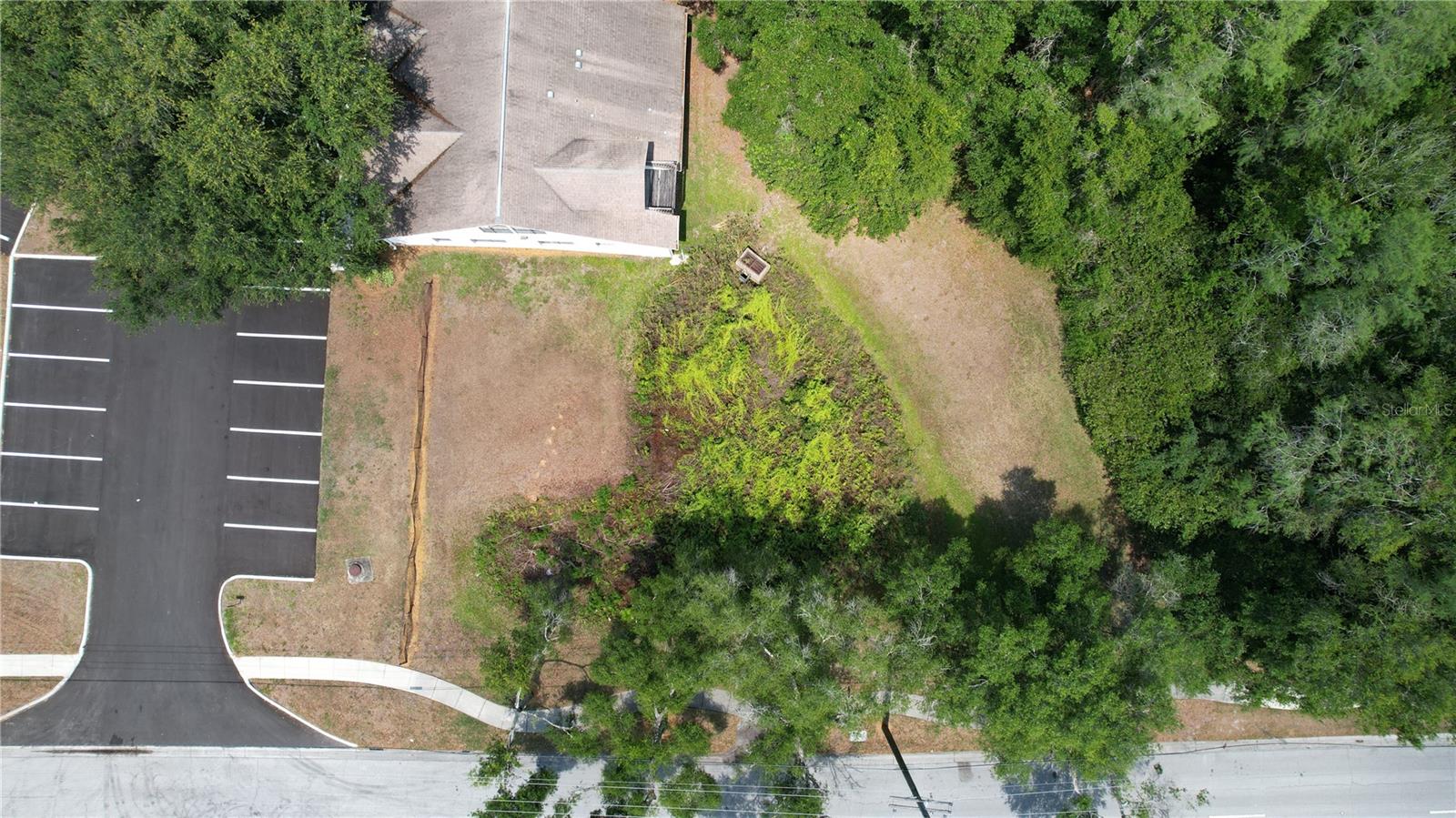 209 CRYSTAL GROVE BLVD, LUTZ, FL — photo 9