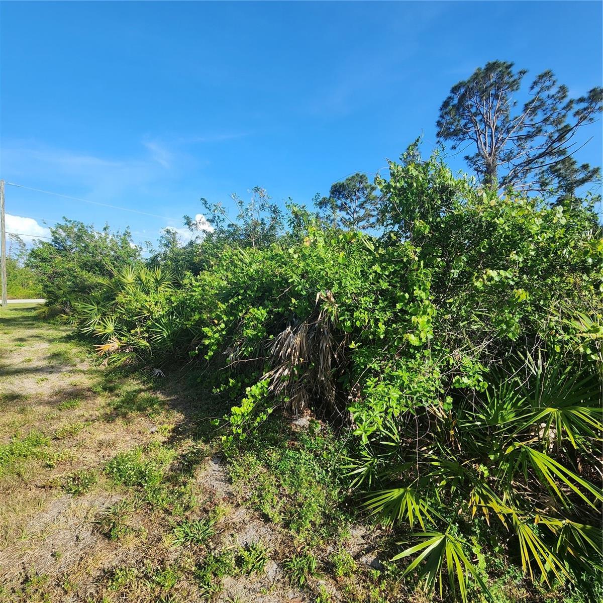 12282 APPLEBERG CIR, PORT CHARLOTTE, FL — photo 9