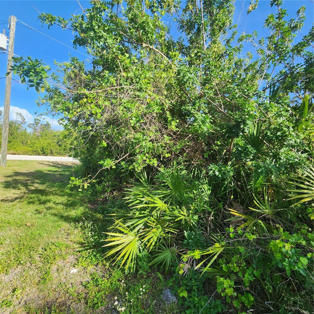 12282 APPLEBERG CIR, PORT CHARLOTTE, FL — photo 12