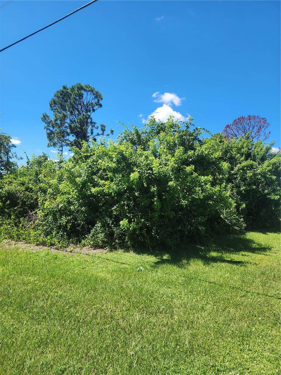 12282 APPLEBERG CIR, PORT CHARLOTTE, FL — photo 18