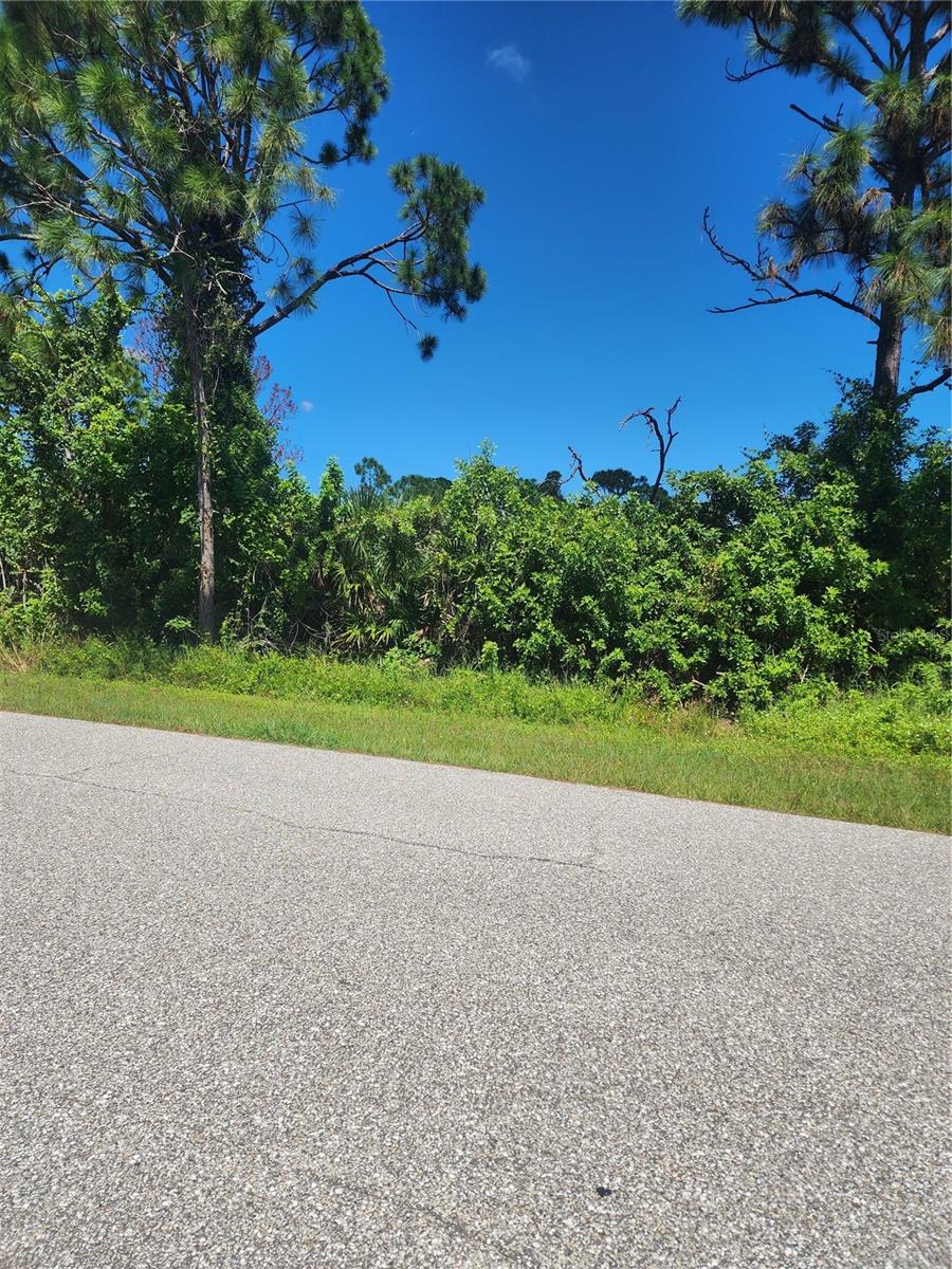12282 APPLEBERG CIR, PORT CHARLOTTE, FL — photo 20