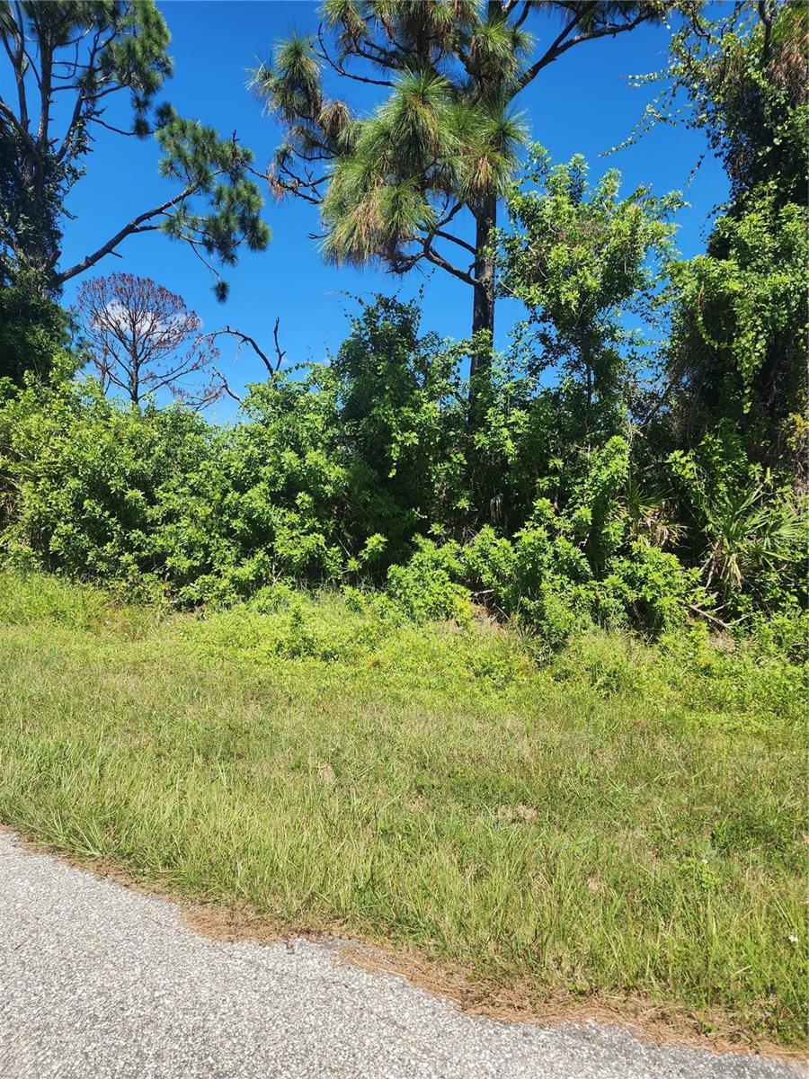 12282 APPLEBERG CIR, PORT CHARLOTTE, FL — photo 21