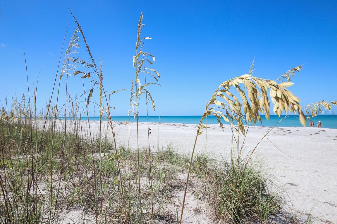14 BAYSHORE CIR, PLACIDA, FL — photo 7