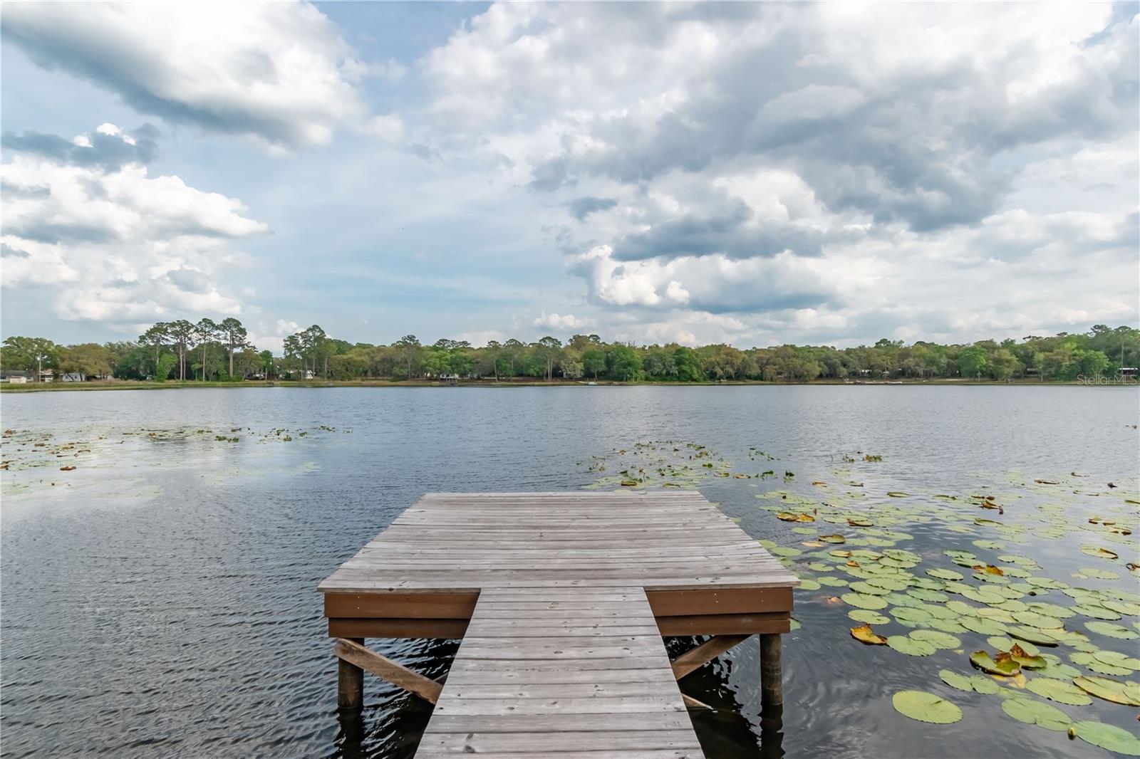 22649, 22645 and TBD NE 105TH AVENUE RD, FORT MC COY, FL — photo 6
