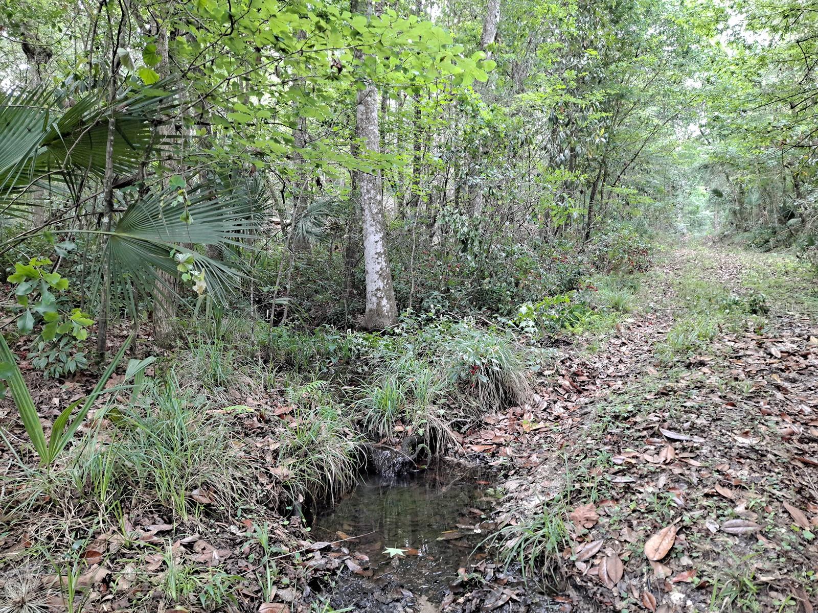 9550 NW 230 ST E, MICANOPY, FL — photo 6