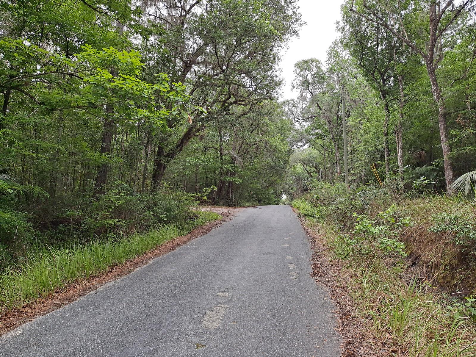 9550 NW 230 ST E, MICANOPY, FL — photo 9