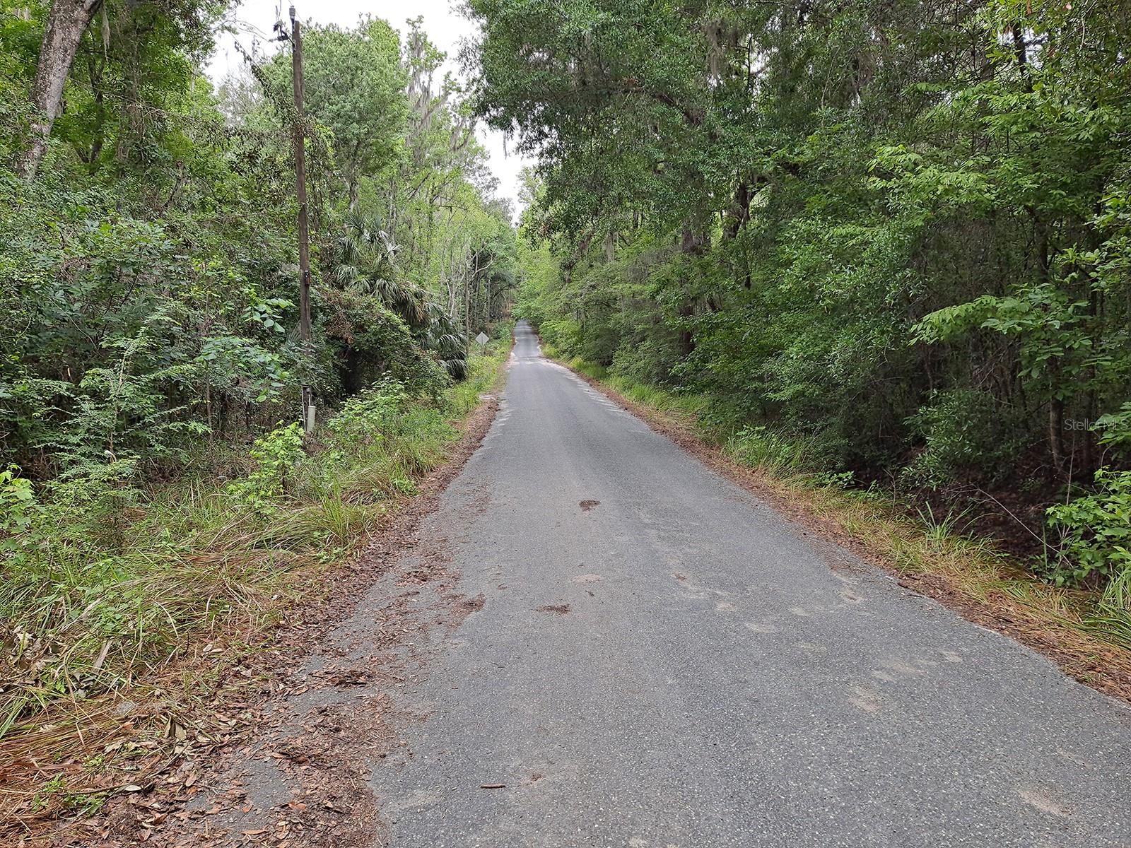 9550 NW 230 ST E, MICANOPY, FL — photo 10