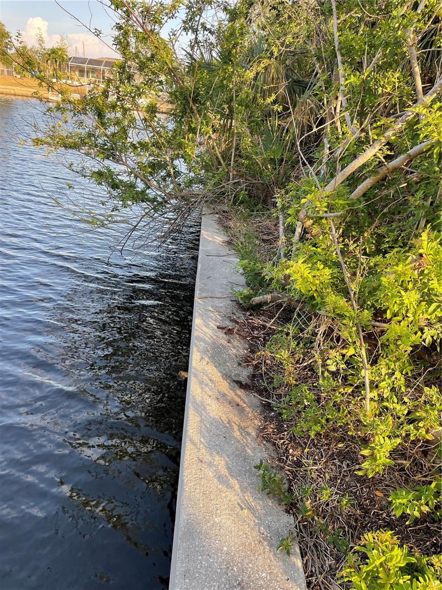 17162 MARYDALE RD, PORT CHARLOTTE, FL — photo 7