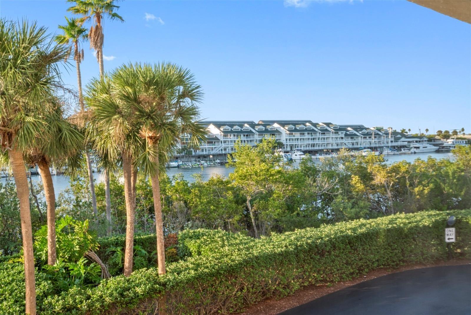 11730 SHIPWATCH DR #305, LARGO, FL — photo 21