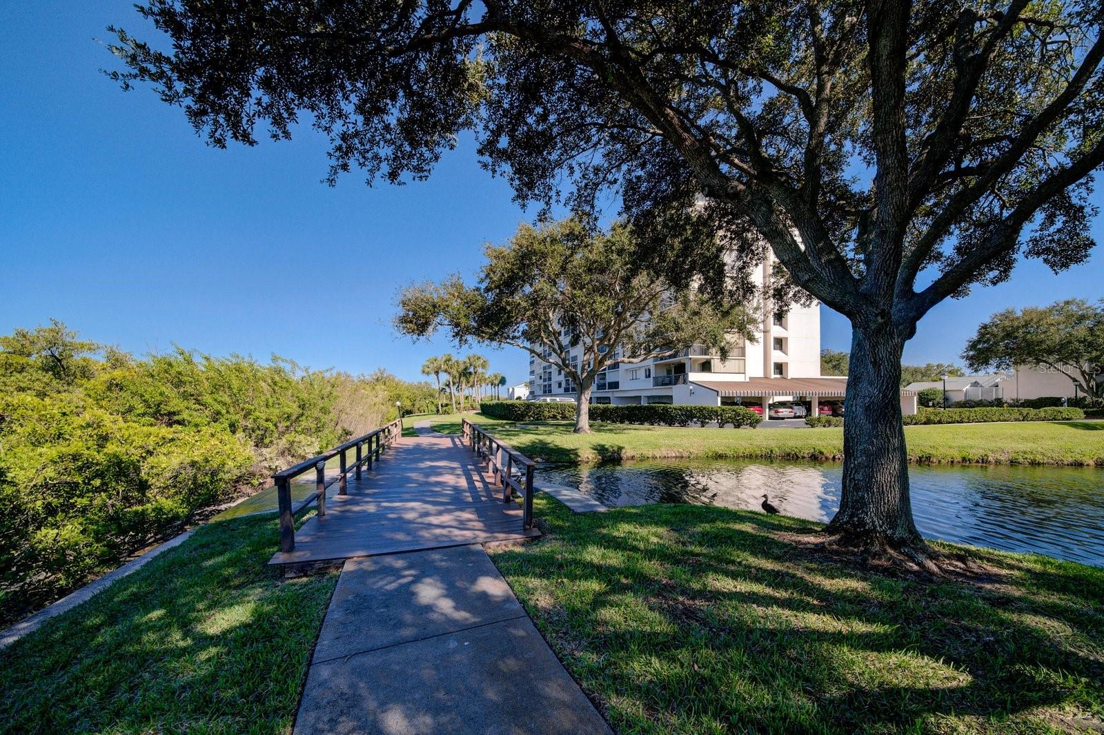 11730 SHIPWATCH DR #305, LARGO, FL — photo 35