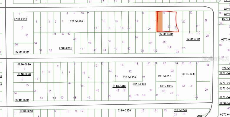 00 CHERRY ST, INTERLACHEN, FL