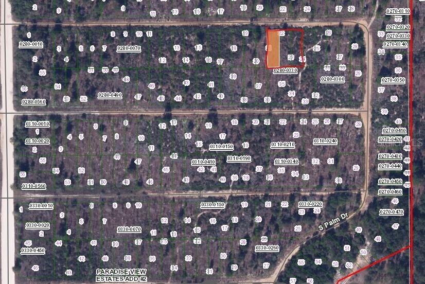 00 CHERRY ST, INTERLACHEN, FL — photo 3