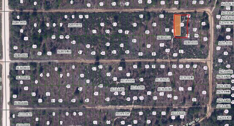 00 CHERRY ST, INTERLACHEN, FL — photo 2