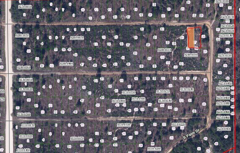 00 CHERRY ST, INTERLACHEN, FL — photo 2