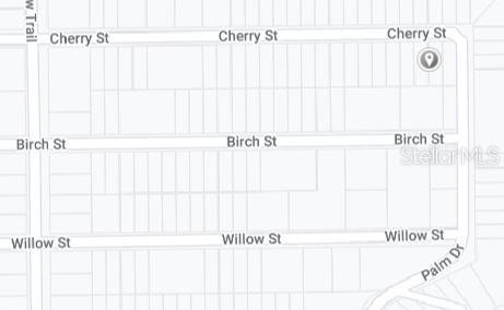 00 CHERRY ST, INTERLACHEN, FL — photo 3