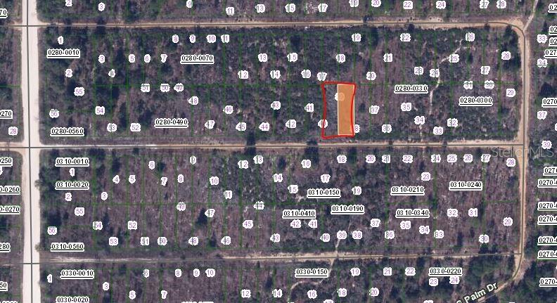 00 BIRCH ST, INTERLACHEN, FL — photo 2