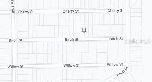 00 BIRCH ST, INTERLACHEN, FL — photo 3