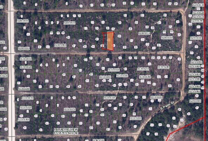 00 BIRCH ST, INTERLACHEN, FL — photo 2