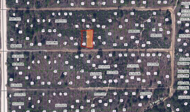 224 BIRCH ST, INTERLACHEN, FL — photo 2