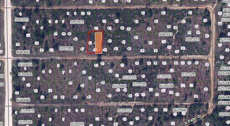 BIRCH ST, INTERLACHEN, FL — photo 2