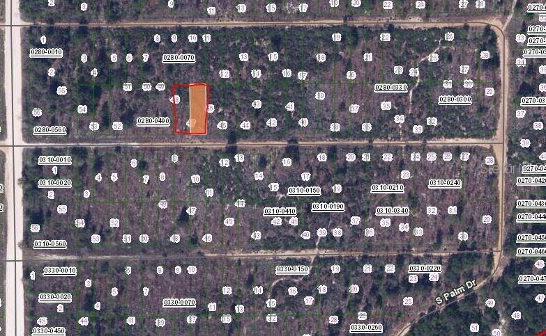 216 BIRCH ST, INTERLACHEN, FL — photo 2