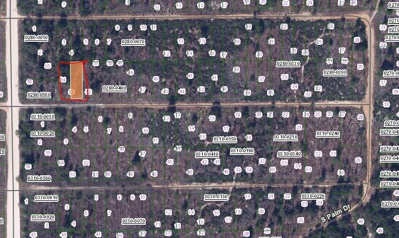 BIRCH ST, INTERLACHEN, FL — photo 2