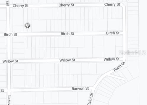 BIRCH ST, INTERLACHEN, FL — photo 3