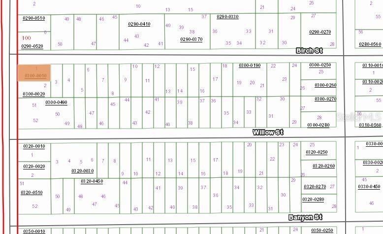 00 BIRCH ST, INTERLACHEN, FL
