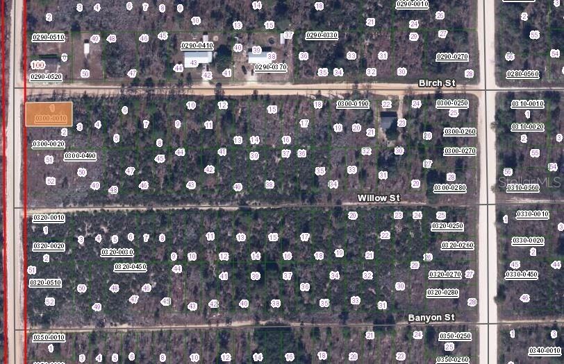 00 BIRCH ST, INTERLACHEN, FL — photo 3
