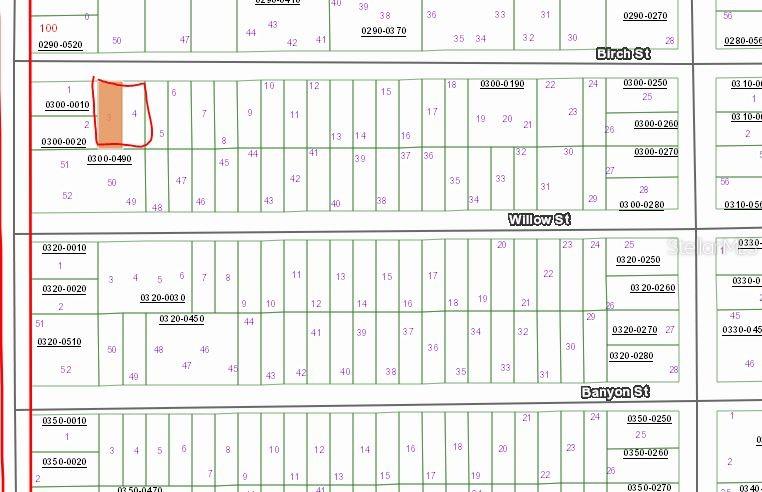 00 BIRCH ST, INTERLACHEN, FL