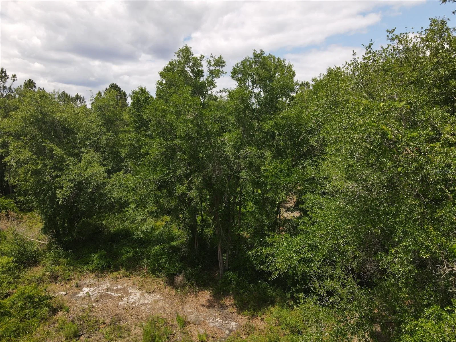 TBD N STATE ROAD 121, ALACHUA, FL — photo 12