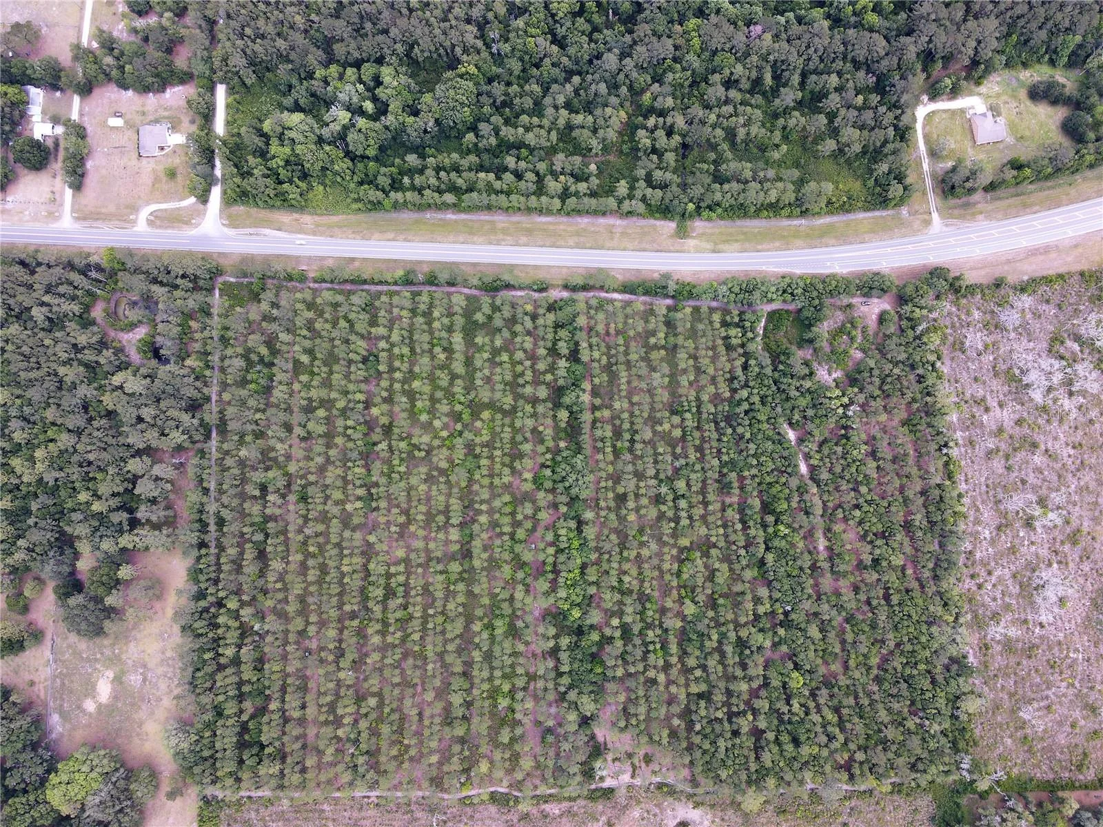 TBD N STATE ROAD 121, ALACHUA, FL — photo 19