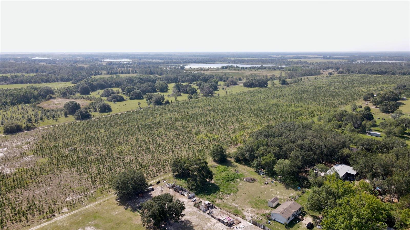 , LITHIA, FL — photo 8