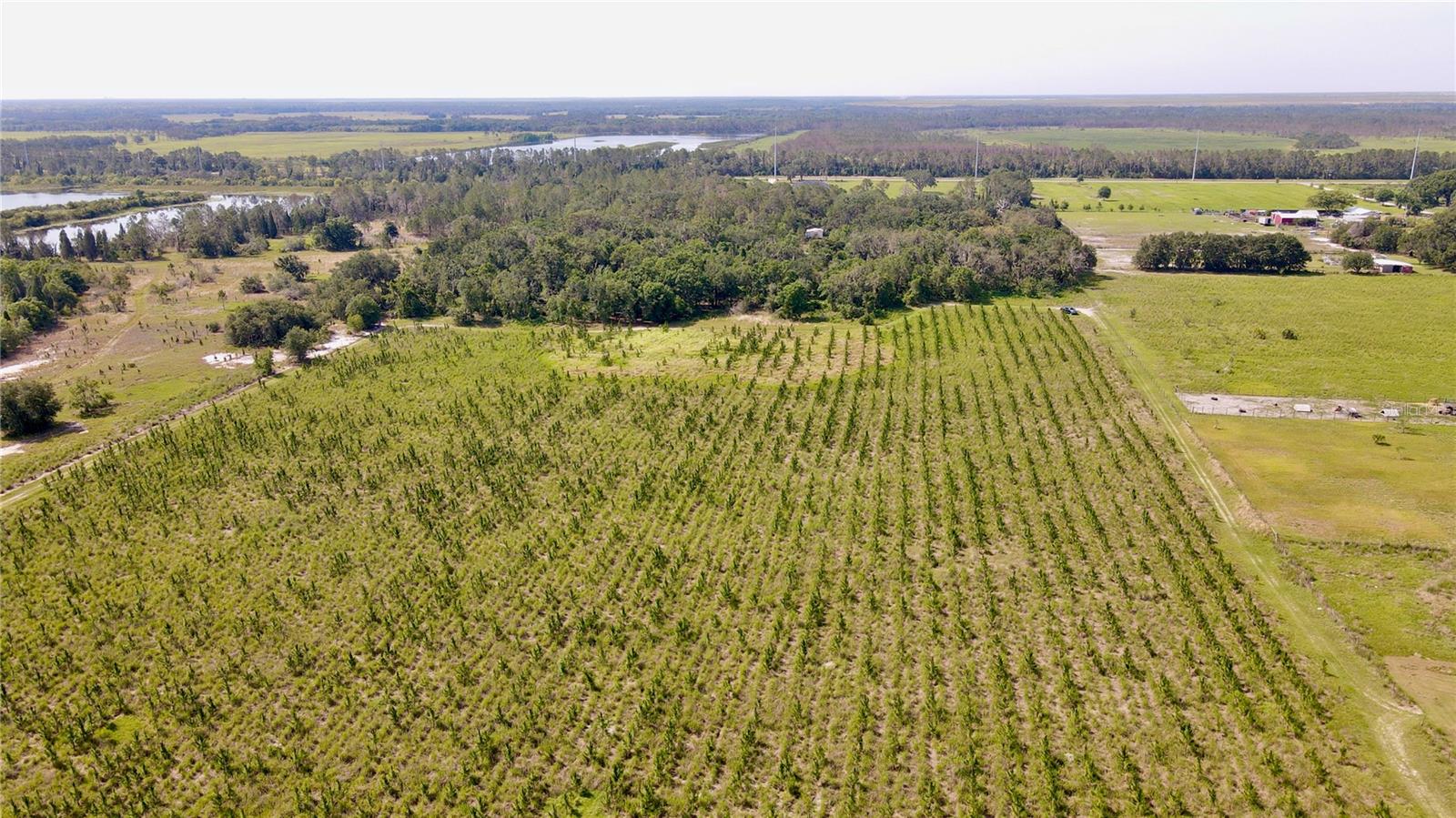 , LITHIA, FL — photo 14