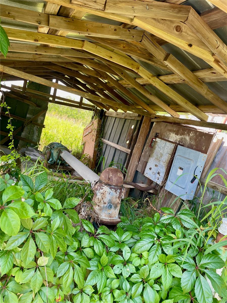 , LITHIA, FL — photo 16