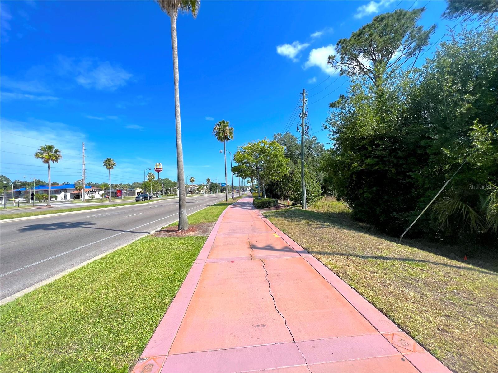 W IRLO BRONSON MEMORIAL HWY, KISSIMMEE, FL — photo 4