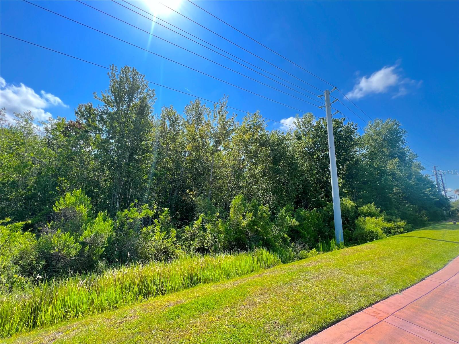W IRLO BRONSON MEMORIAL HWY, KISSIMMEE, FL — photo 19