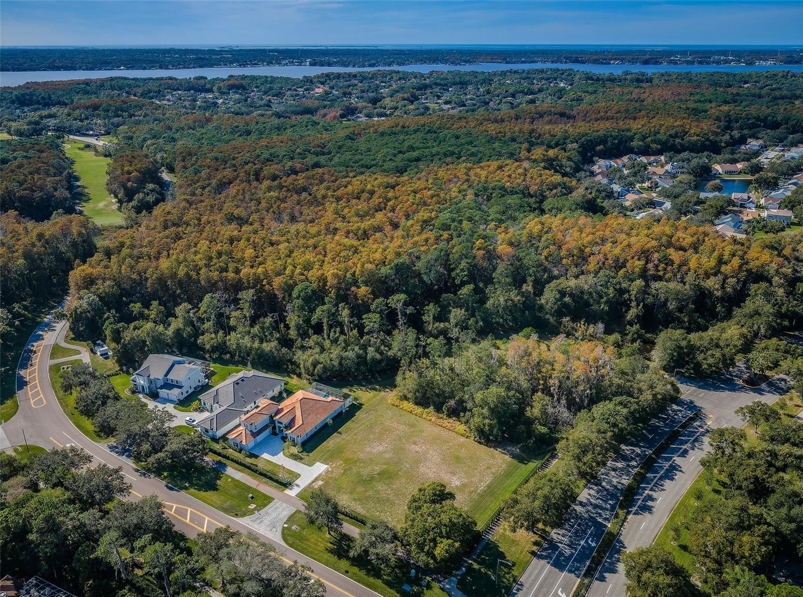 4390 TARPON LAKE BLVD, PALM HARBOR, FL — photo 2