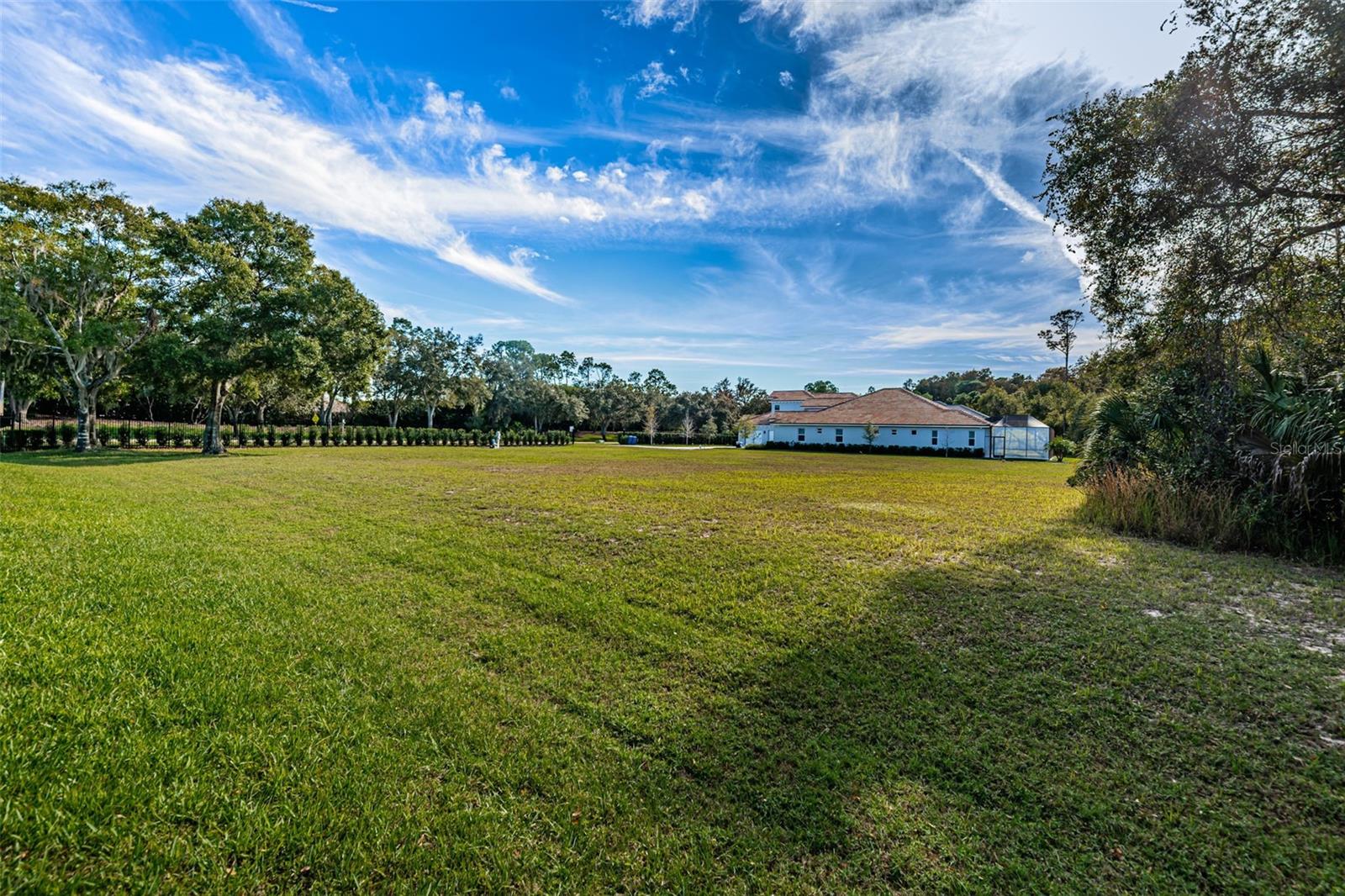 4390 TARPON LAKE BLVD, PALM HARBOR, FL — photo 15