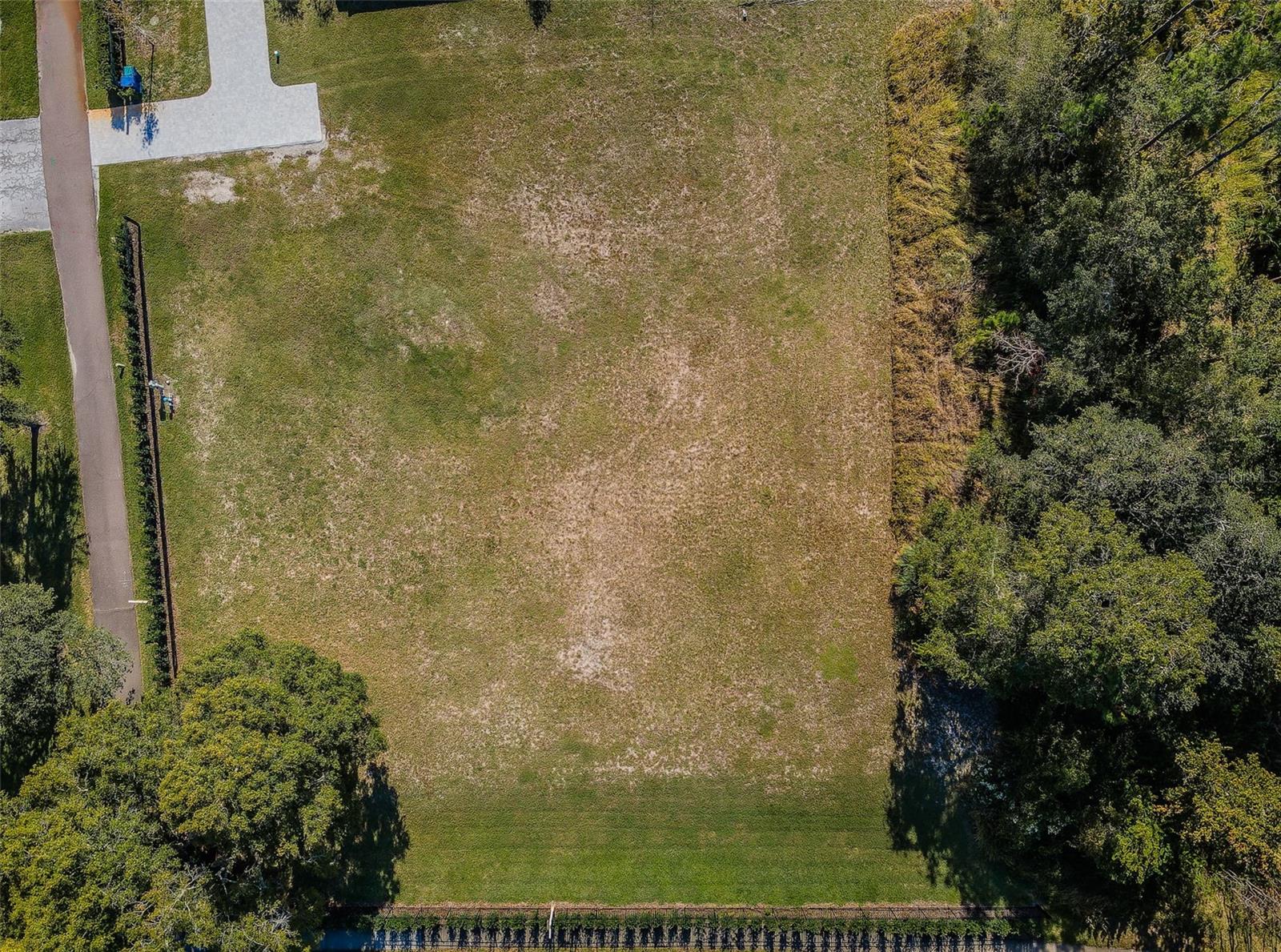 4390 TARPON LAKE BLVD, PALM HARBOR, FL — photo 16