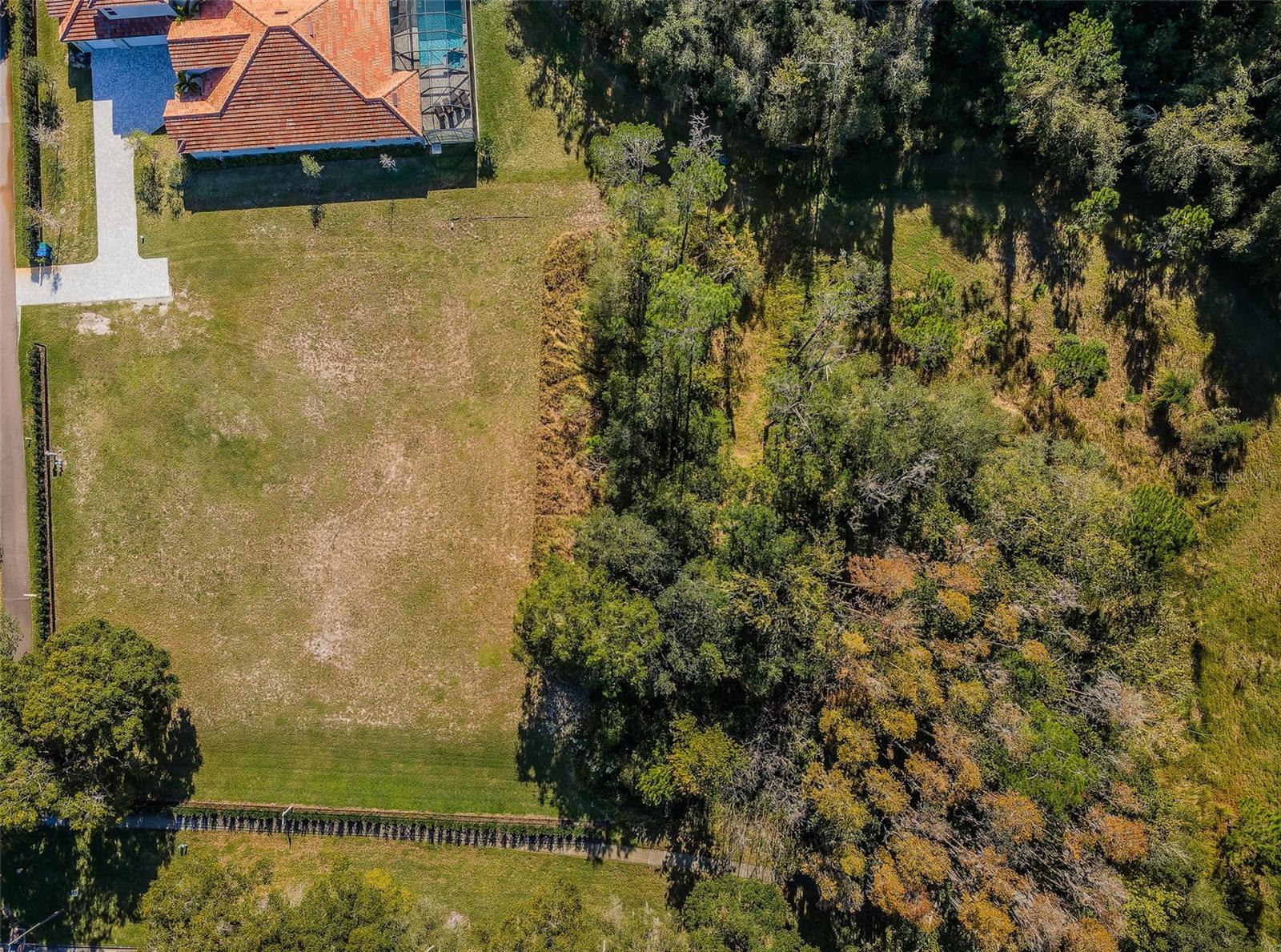 4390 TARPON LAKE BLVD, PALM HARBOR, FL — photo 17